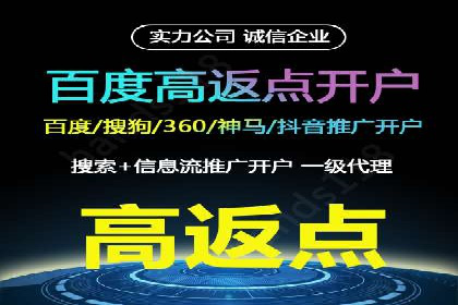 深度解析：百度竞价广告的投放效果与ROI